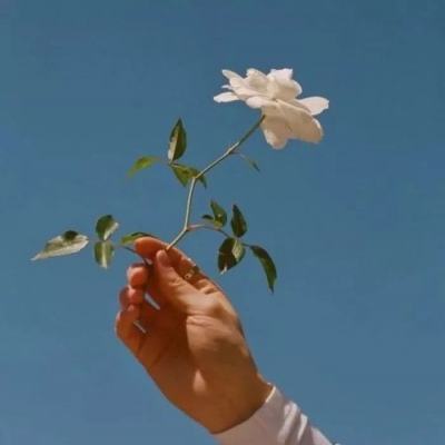 剑舞红颜手游官方下载