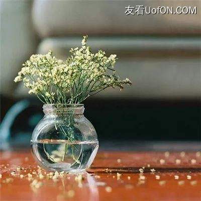 洪荒文明易信版下载