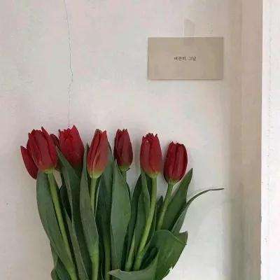 王者纪元手游官方下载