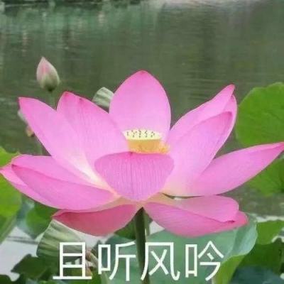六迪世界百度版手机版下载