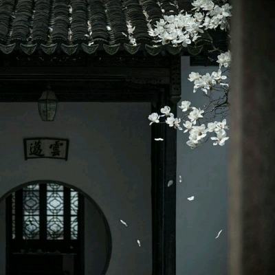 西游情缘手游