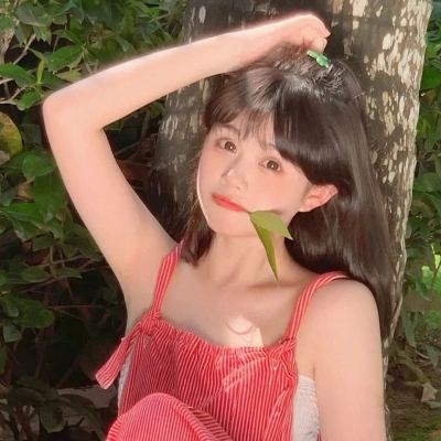 星武择天传游戏